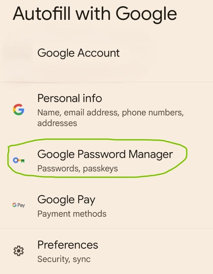Android - How to save passwords 4.2