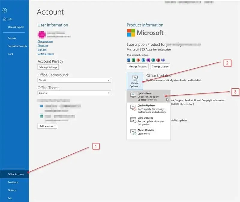 Outlook update steps