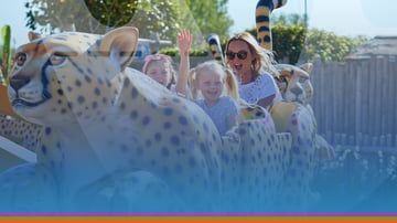 Drusillas Park See 20% Uplift In Online Membership Sales With VisiSoft