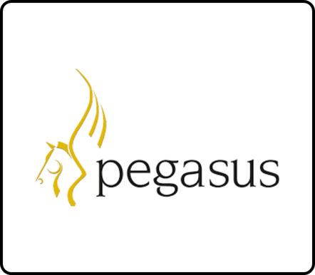 Pegasus Partner