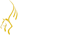 pegasus-logo-white