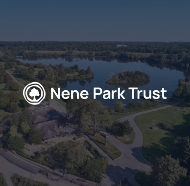 nene-part-trust-case-study